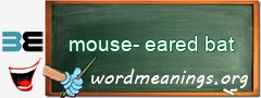 WordMeaning blackboard for mouse-eared bat